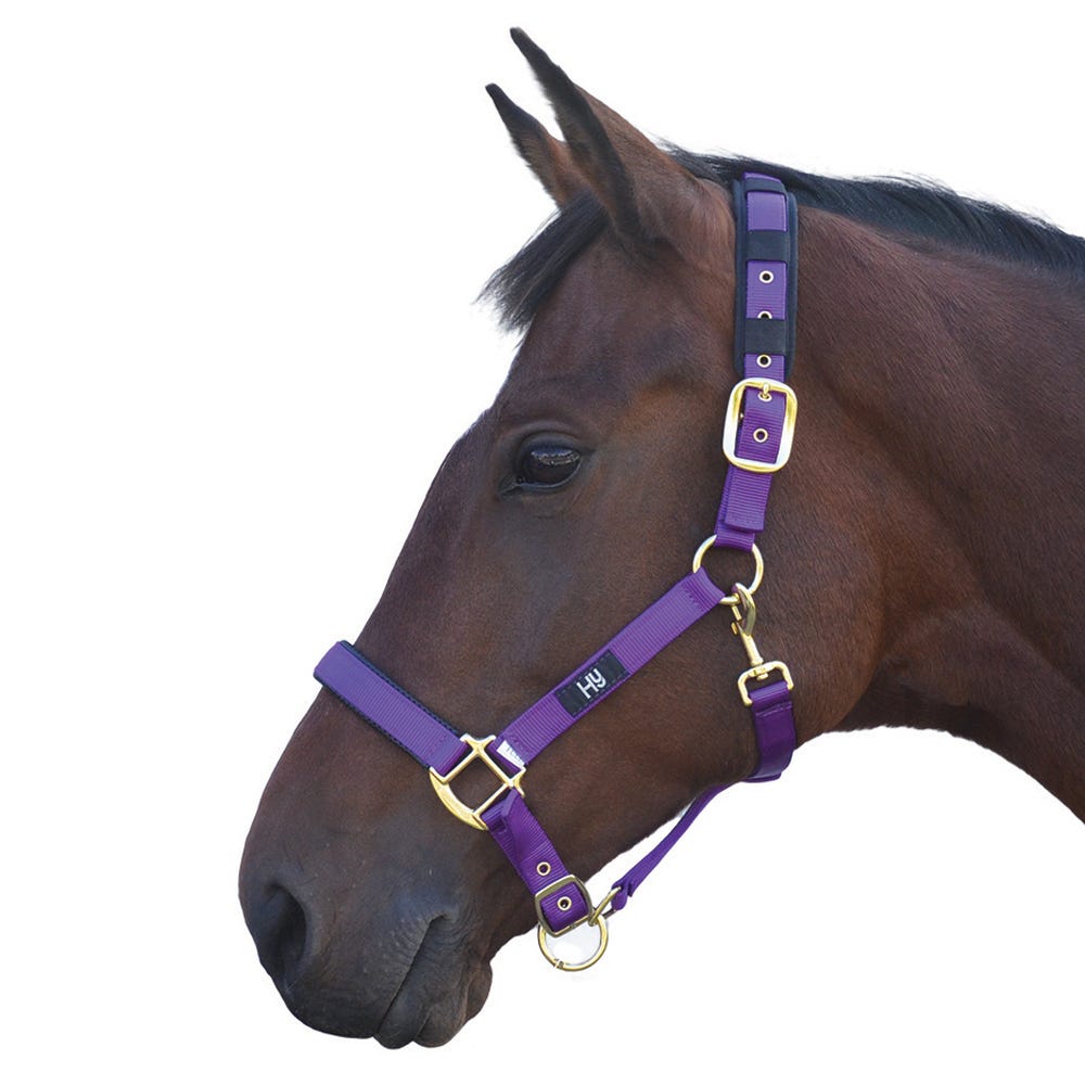 Hy Equestrian Deluxe Padded Head Collar image 4