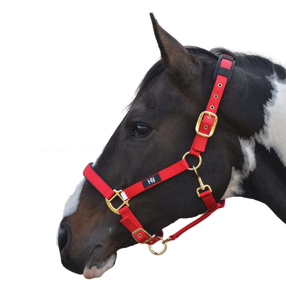 Hy Equestrian Deluxe Padded Head Collar image 7