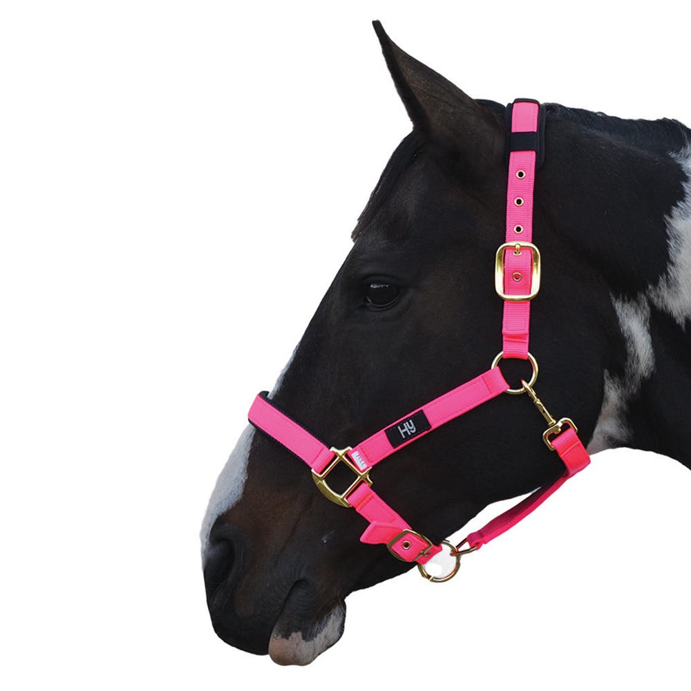 Hy Equestrian Deluxe Padded Head Collar image 8