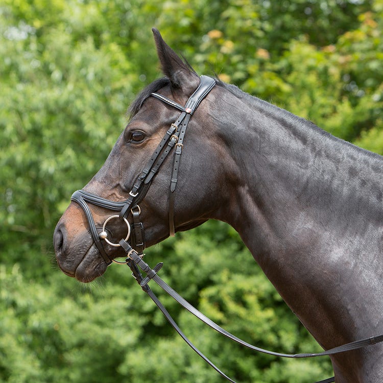 Kieffer Ultrasoft Tara Snaffle Bridle image 5