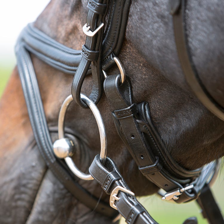 Kieffer Ultrasoft Tara Snaffle Bridle image 8