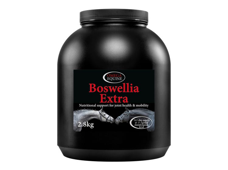 Omega Equine Boswellia Extra image 3