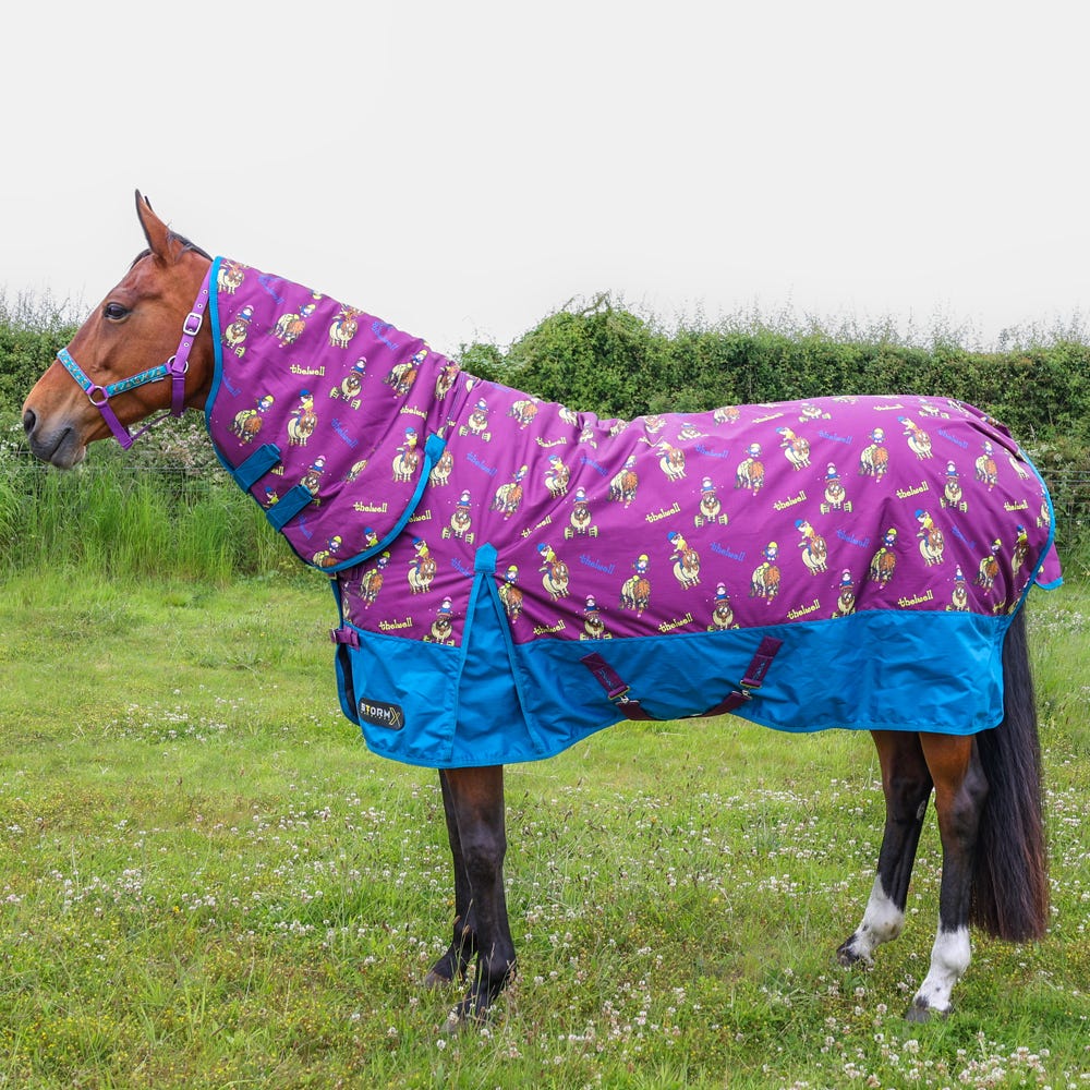 StormX Original 200 Combi Turnout Rug - Thelwell Collection Pony Friends image 1