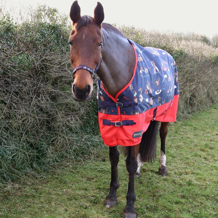 StormX Original 0 Turnout Rug - Thelwell Collection Practice Makes Perfect image 2