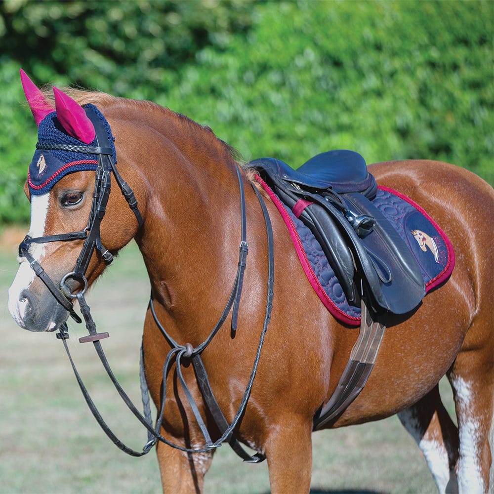 Riding Star Collection Fly Veil by Little Rider image 2