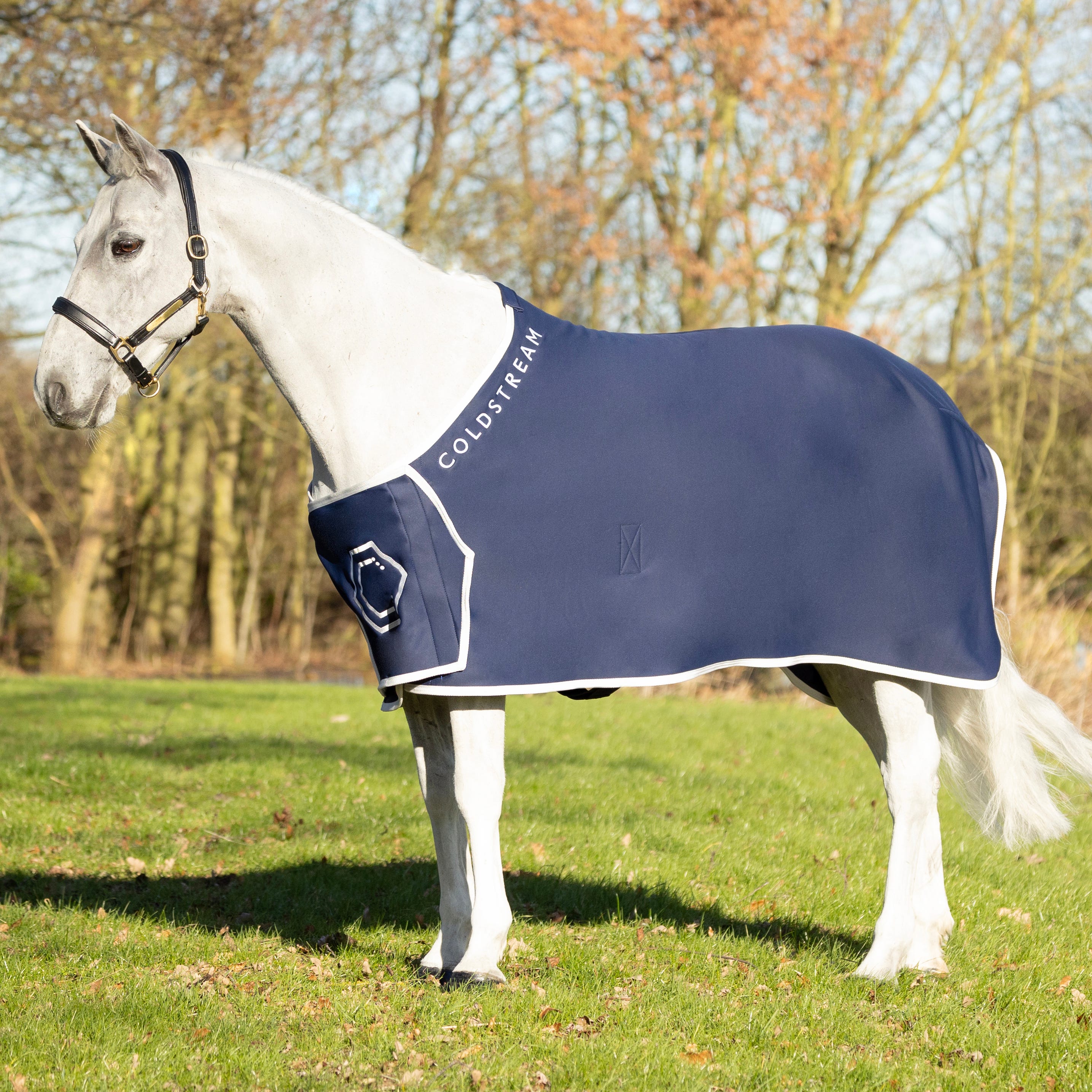 Coldstream Newton Show Sheet image 1