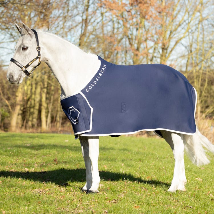 Coldstream Newton Show Sheet image 1