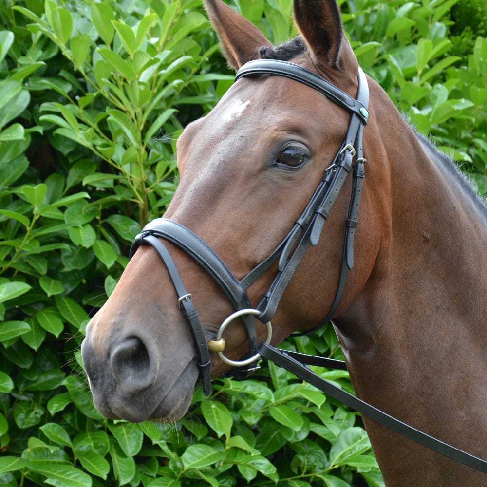 Hy Equestrian Padded Flash Bridle with Rubber Grip Reins  image 2