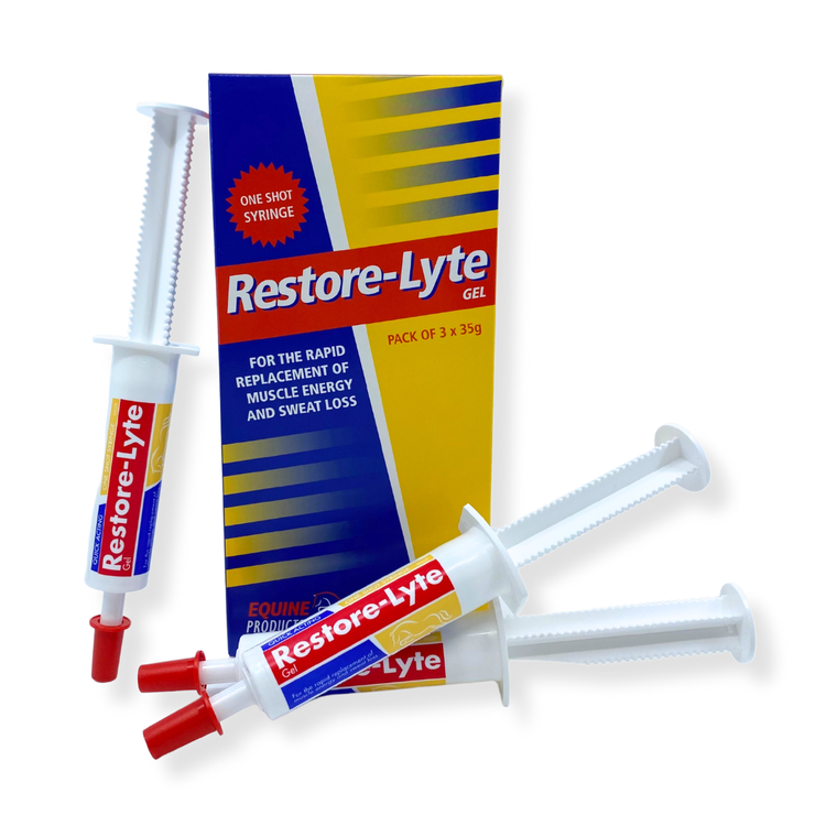 Restore-Lyte image 5