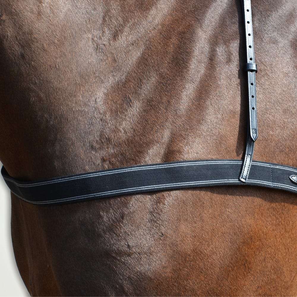 Hy Equestrian Elastic Breastgirth image 1