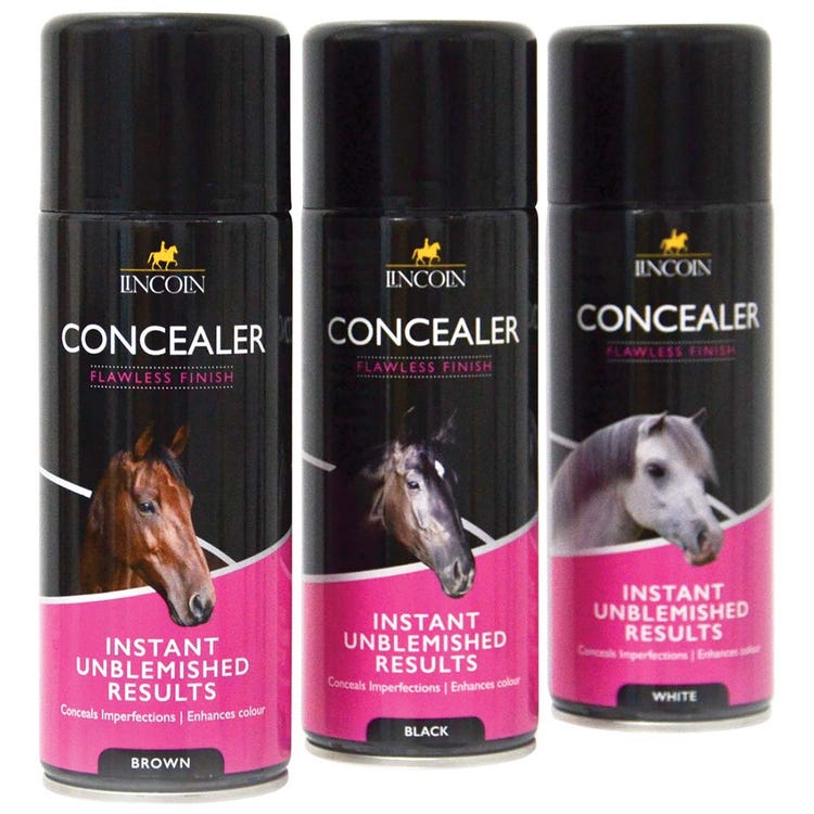 Lincoln Concealer Spray Aerosol image 4