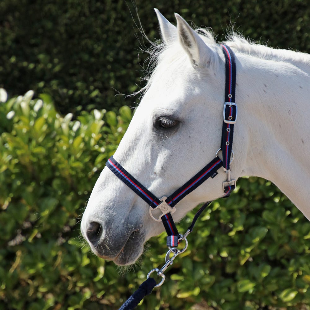 Hy Signature Head Collar &amp; Lead Rope image 2