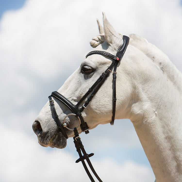 Kieffer Ultrasoft Fashion Snaffle Bridle image 3