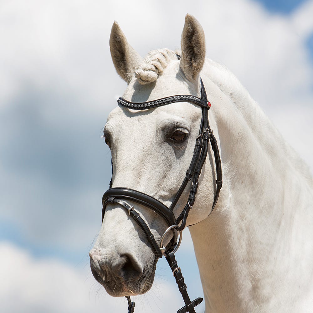 Kieffer Ultrasoft Fashion Snaffle Bridle image 4