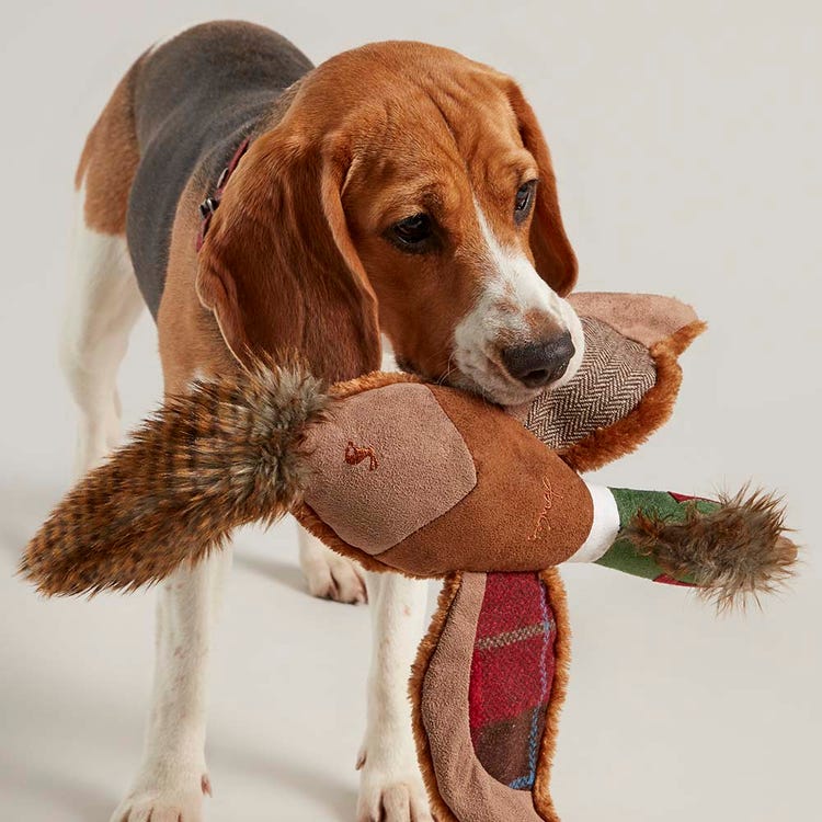 Joules Pheasant Dog Toy image 2