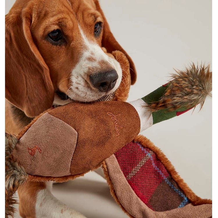 Joules Pheasant Dog Toy image 3