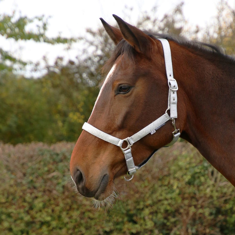 Hy Equestrian Glitzy Headcollar image 8