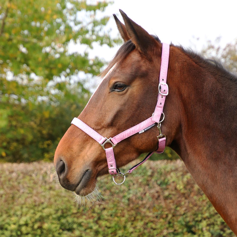 Hy Equestrian Glitzy Headcollar image 4