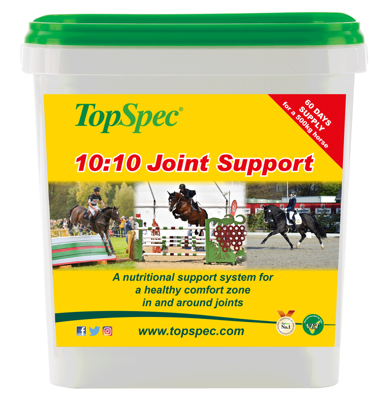 TopSpec 10:10 Joint Support image 1