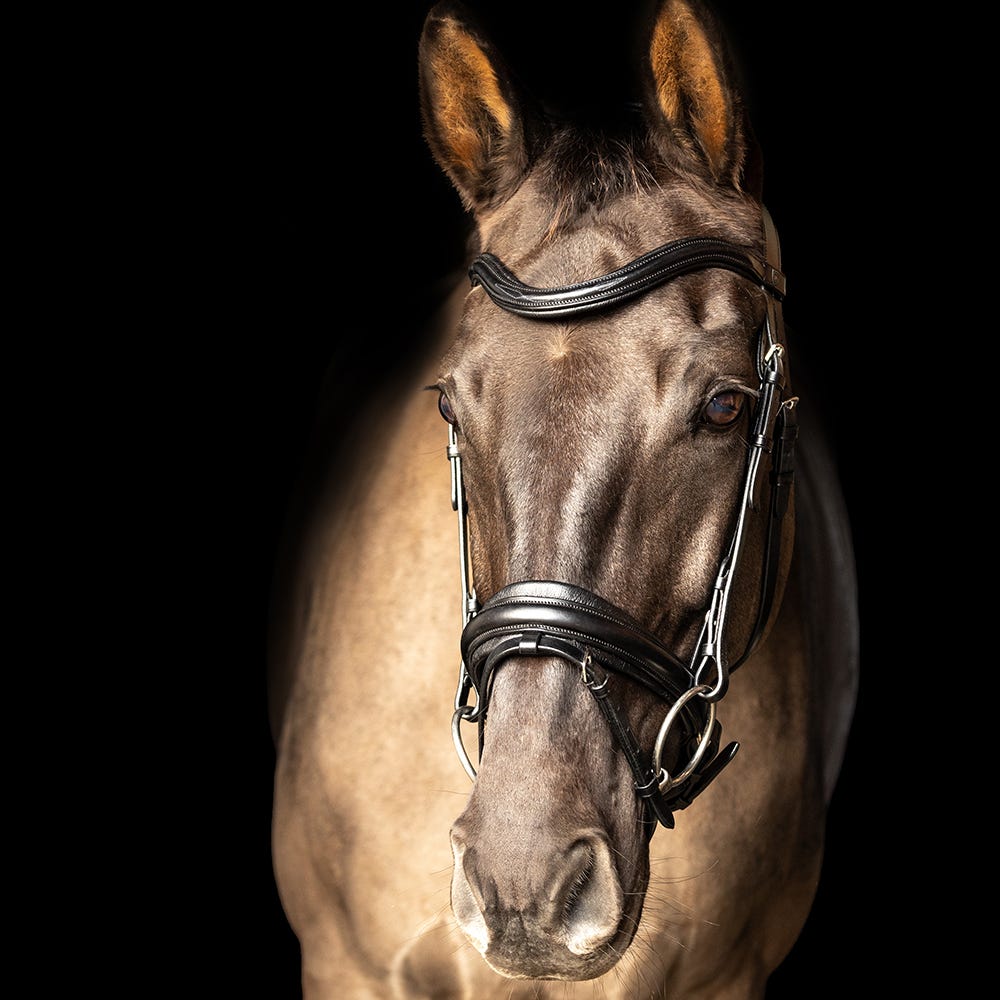ProPresicce Pelle Crank Leather Bridle by Hy Equestrian image 4