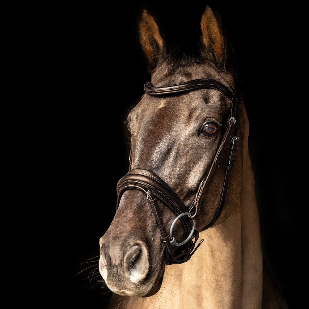 ProPresicce Pelle Crank Leather Bridle by Hy Equestrian image 5