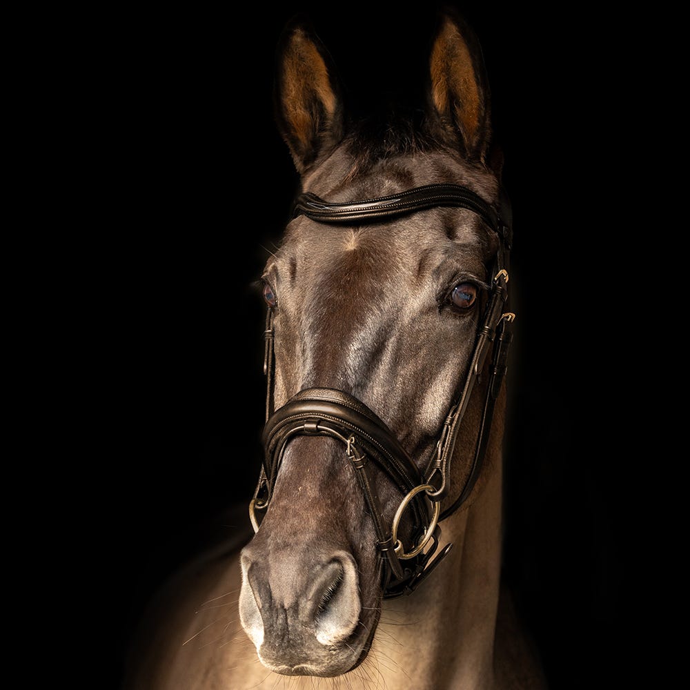 ProPresicce Pelle Crank Leather Bridle by Hy Equestrian image 6