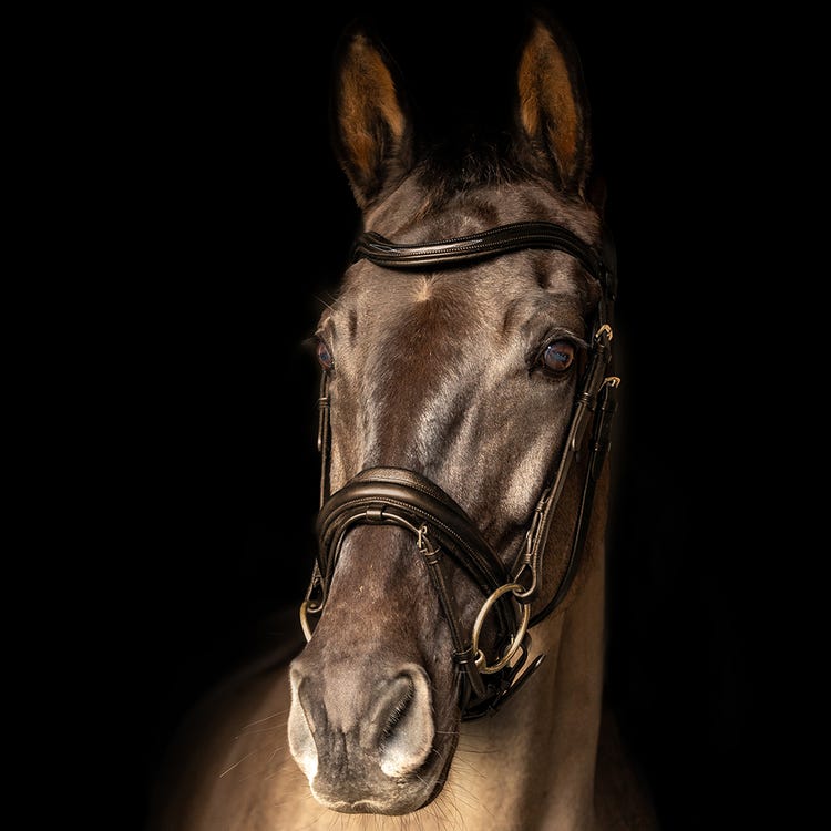 ProPresicce Pelle Crank Leather Bridle by Hy Equestrian image 6