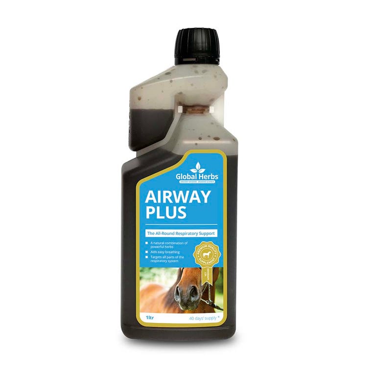 Global Herbs Airway Plus Liquid image 1