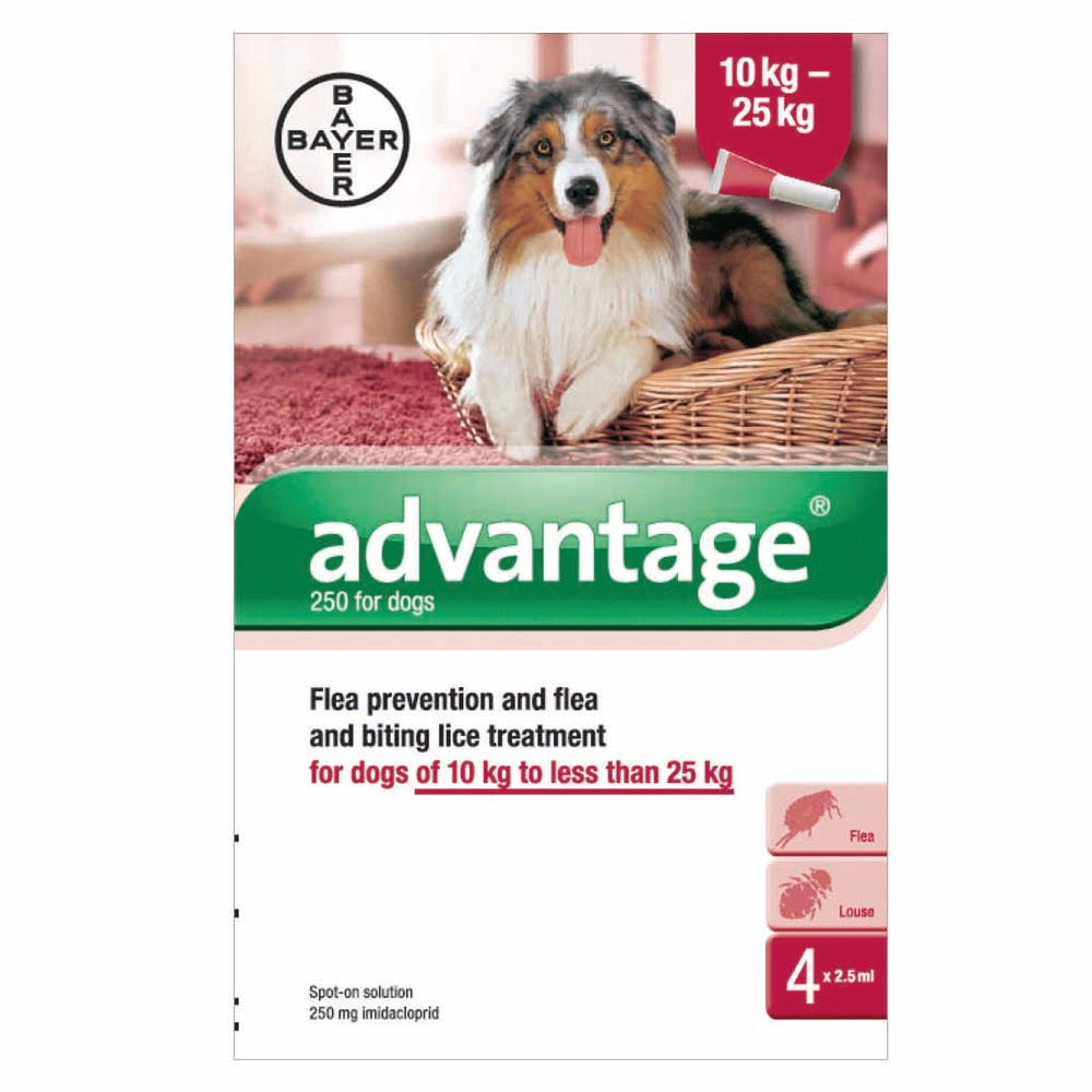 ADVANTAGE 100 image 2