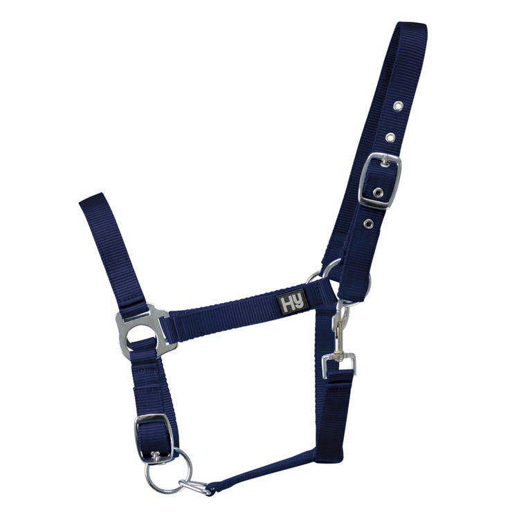 Hy Equestrian Economy Plus Head Collar  image 4