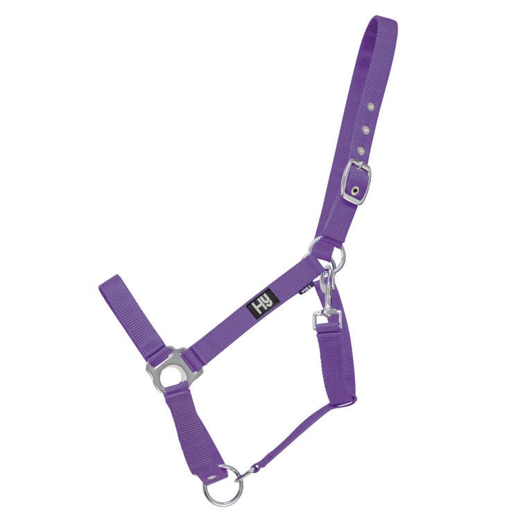 Hy Equestrian Economy Plus Head Collar  image 8