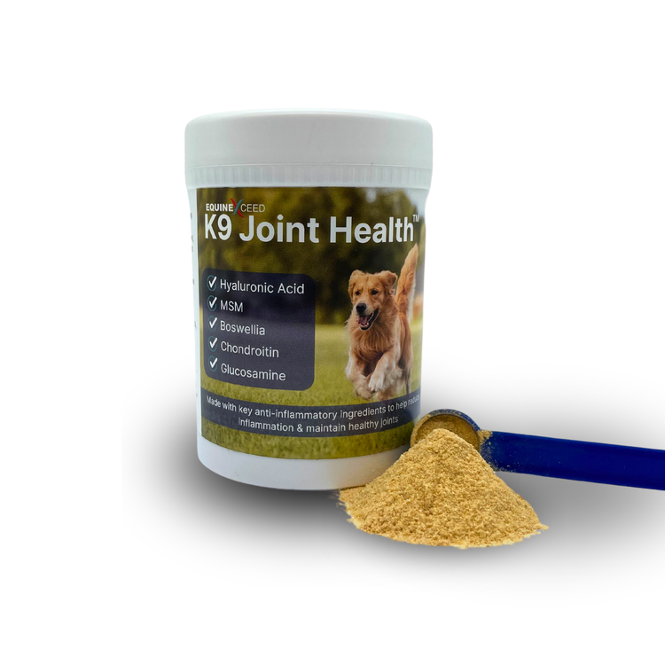 Equine Exceed K9 Joint Health image 1