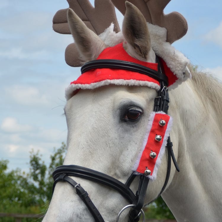 Hy Equestrian Christmas Santa Bridle Set (Set of 3) image 1