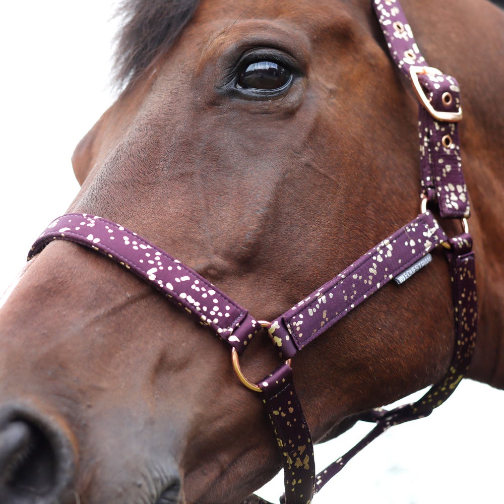 Hy Equestrian Enchanted Collection Head Collar &amp; Lead Rope image 3