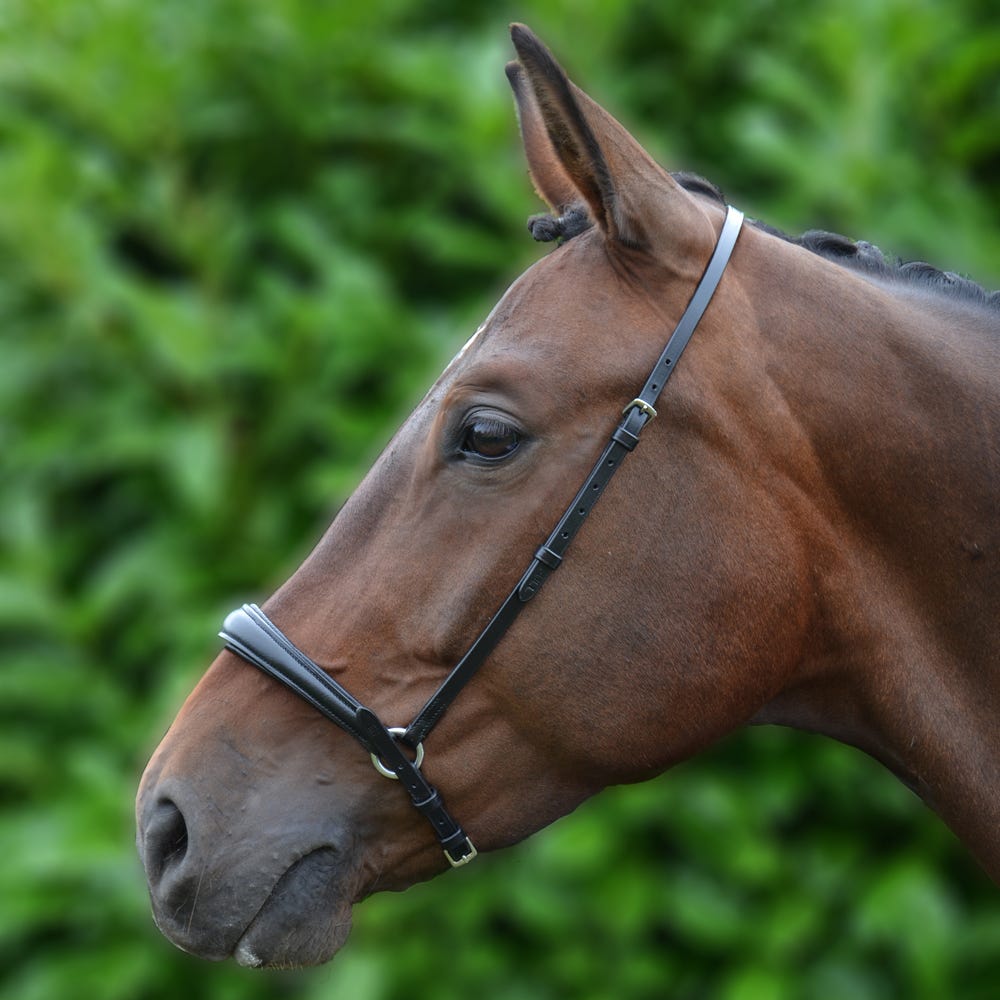 Hy Equestrian Padded Drop Nose Band image 1