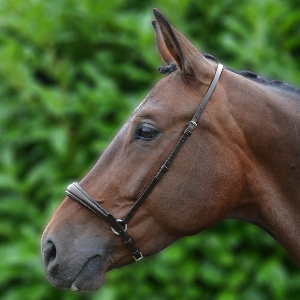 Hy Equestrian Padded Drop Nose Band image 3