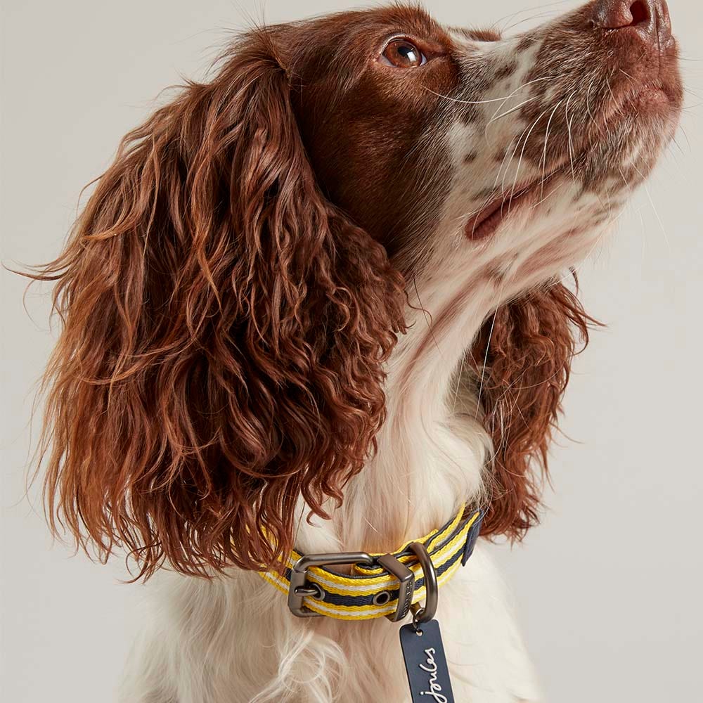 Joules Coastal Dog Collar image 5