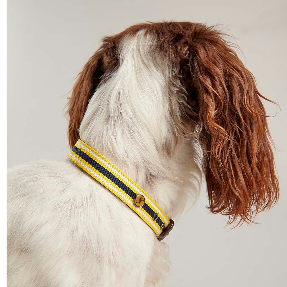 Joules Coastal Dog Collar image 6