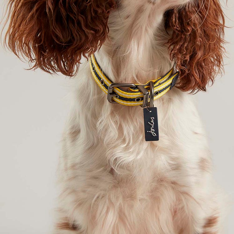 Joules Coastal Dog Collar image 7