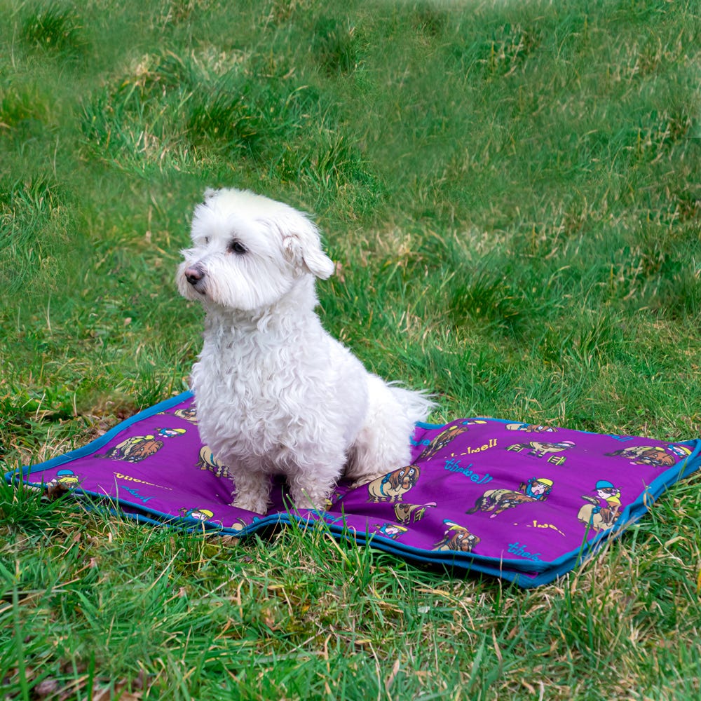 Benji &amp; Flo Thelwell Collection Pony Friends Dog Bed image 3