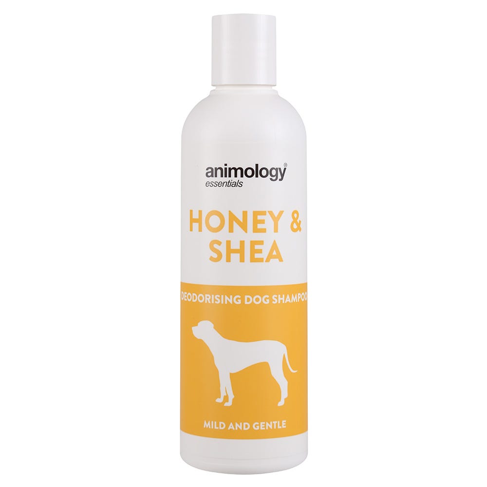 Animology Essentials Honey &amp; Shea Shampoo image 1