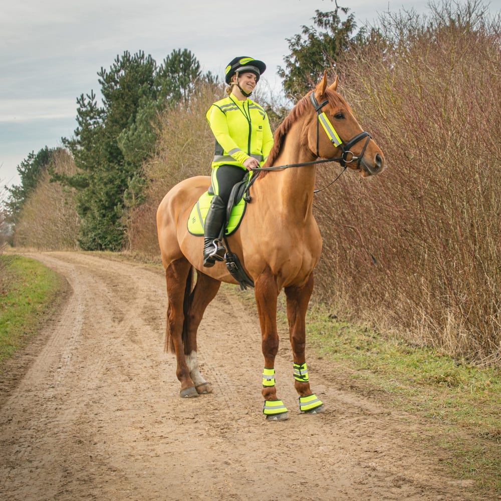 Reflector Bridle Bands by Hy Equestrian image 4