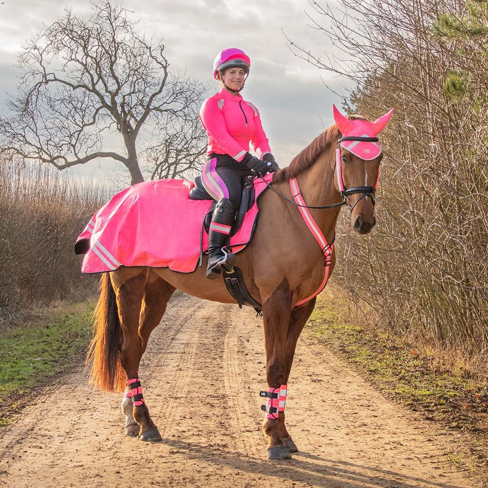 Reflector Bridle Bands by Hy Equestrian image 7