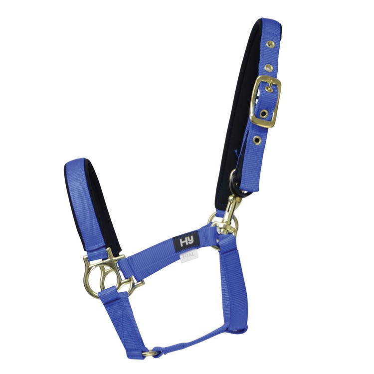 Hy Equestrian Fieldsafe Small Pony &amp; Foal Head Collar image 1