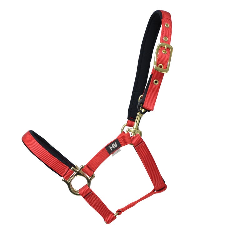 Hy Equestrian Fieldsafe Small Pony &amp; Foal Head Collar image 2