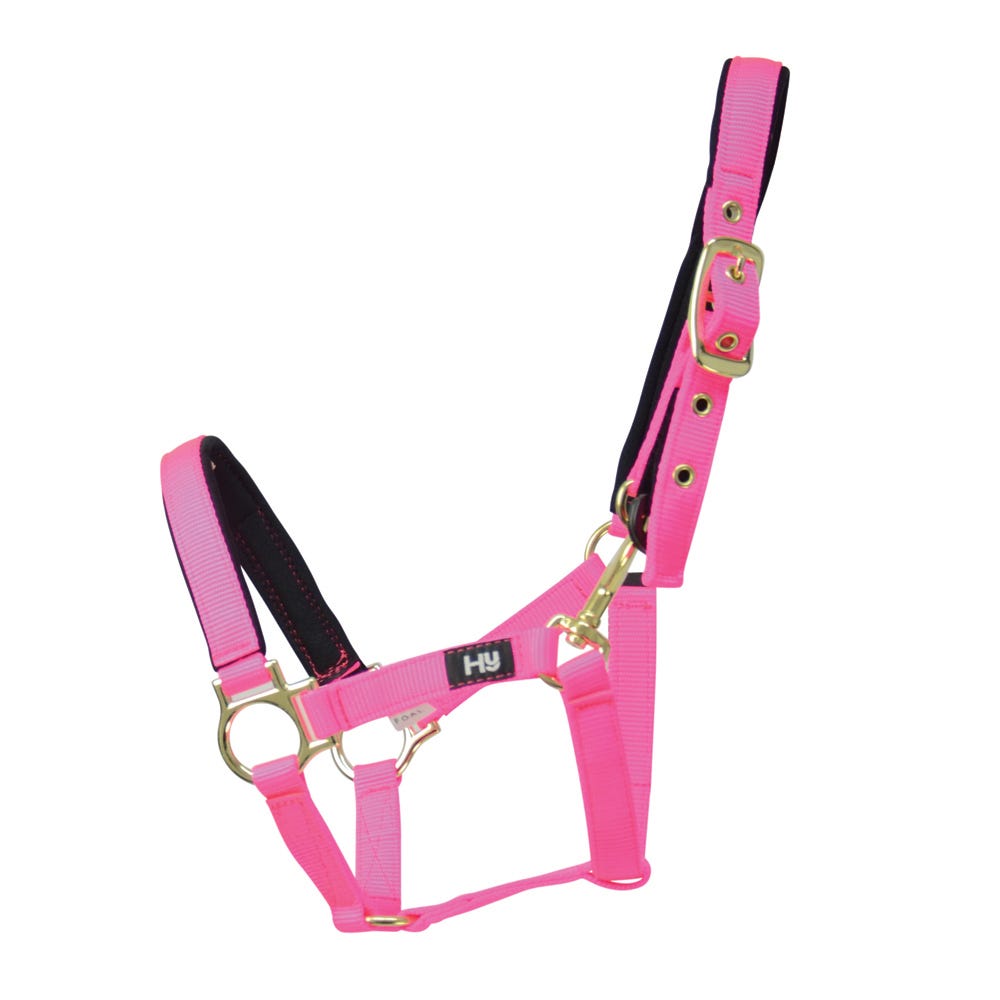 Hy Equestrian Fieldsafe Small Pony &amp; Foal Head Collar image 3