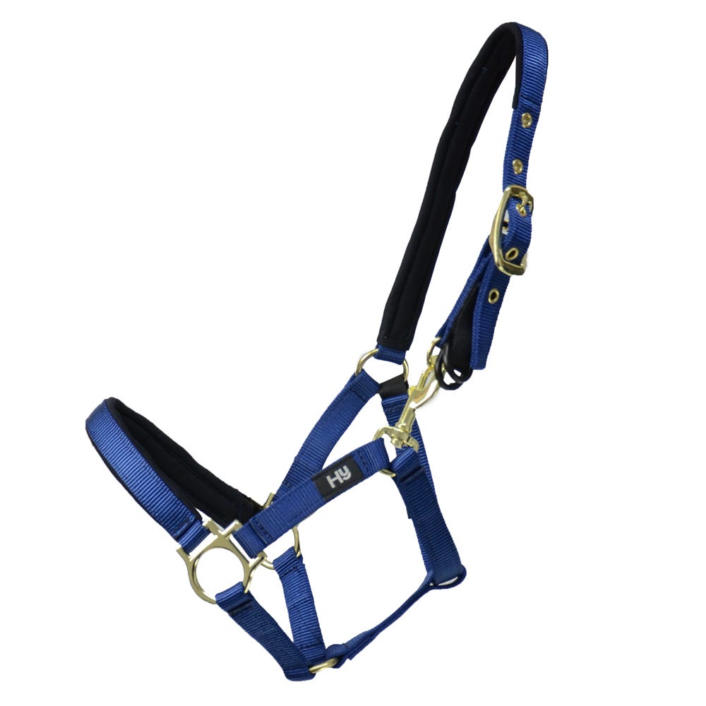 Hy Equestrian Fieldsafe Small Pony &amp; Foal Head Collar image 5