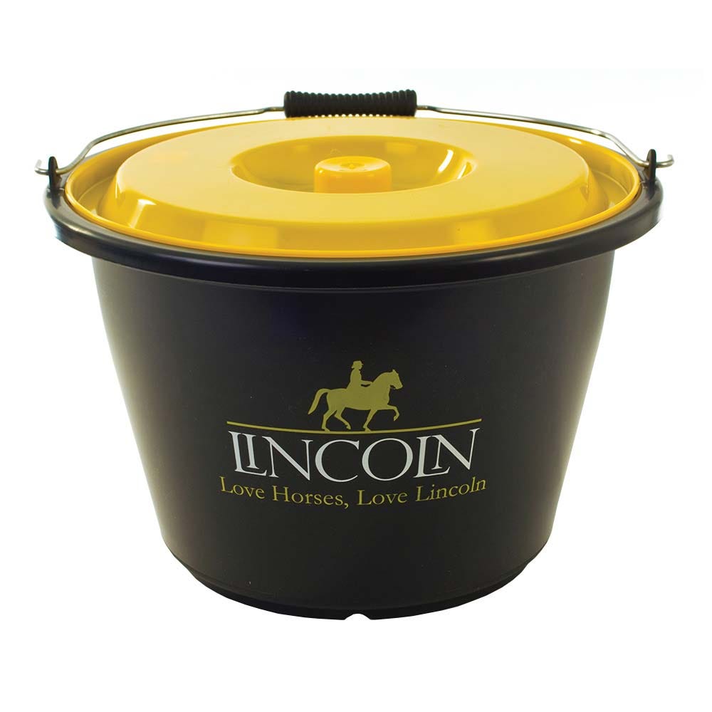 Lincoln Bucket With Lid image 1