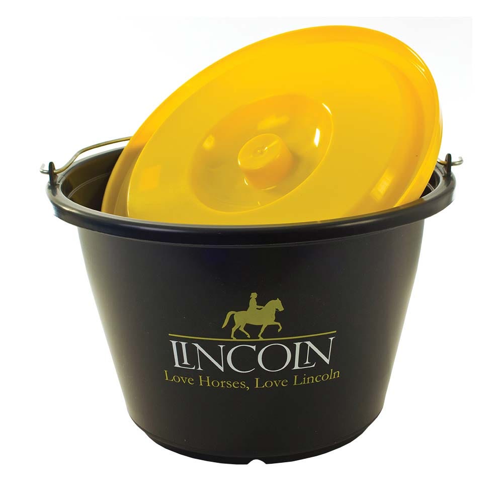 Lincoln Bucket With Lid image 2