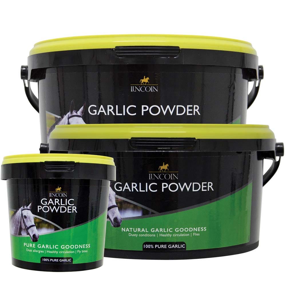 Lincoln Garlic Powder  image 6